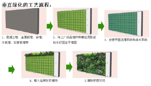 浅谈我国城市立体绿化形式